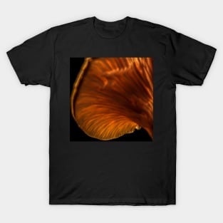 Illuminated Mushroom Macro T-Shirt